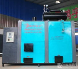 食用菌專用蒸汽環(huán)保鍋爐 綠色高效，助力食用菌產(chǎn)業(yè)可持續(xù)發(fā)展