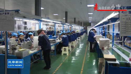 石偉豐 蘇陜幫扶見真情,千里共圓 小康夢